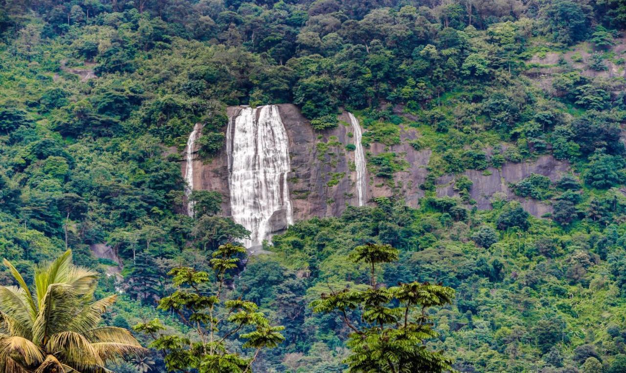 Treebo Trend Misty Garden Resorts With Mountain View Munnar Bagian luar foto